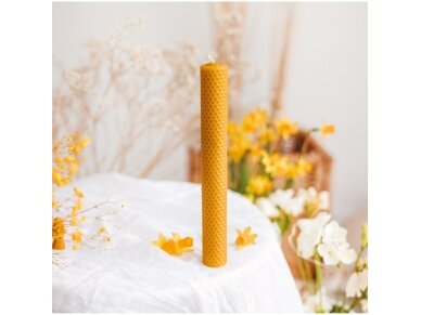 Beeswax candle cylinder  (41 x 3,5 cm)