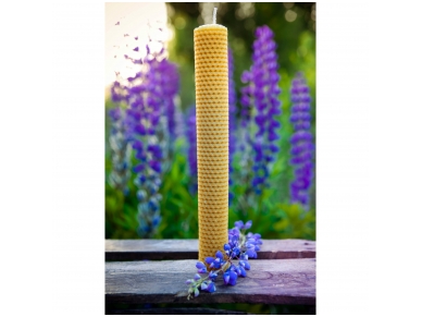 Cylinder candle (41 x 2,4 cm) 2